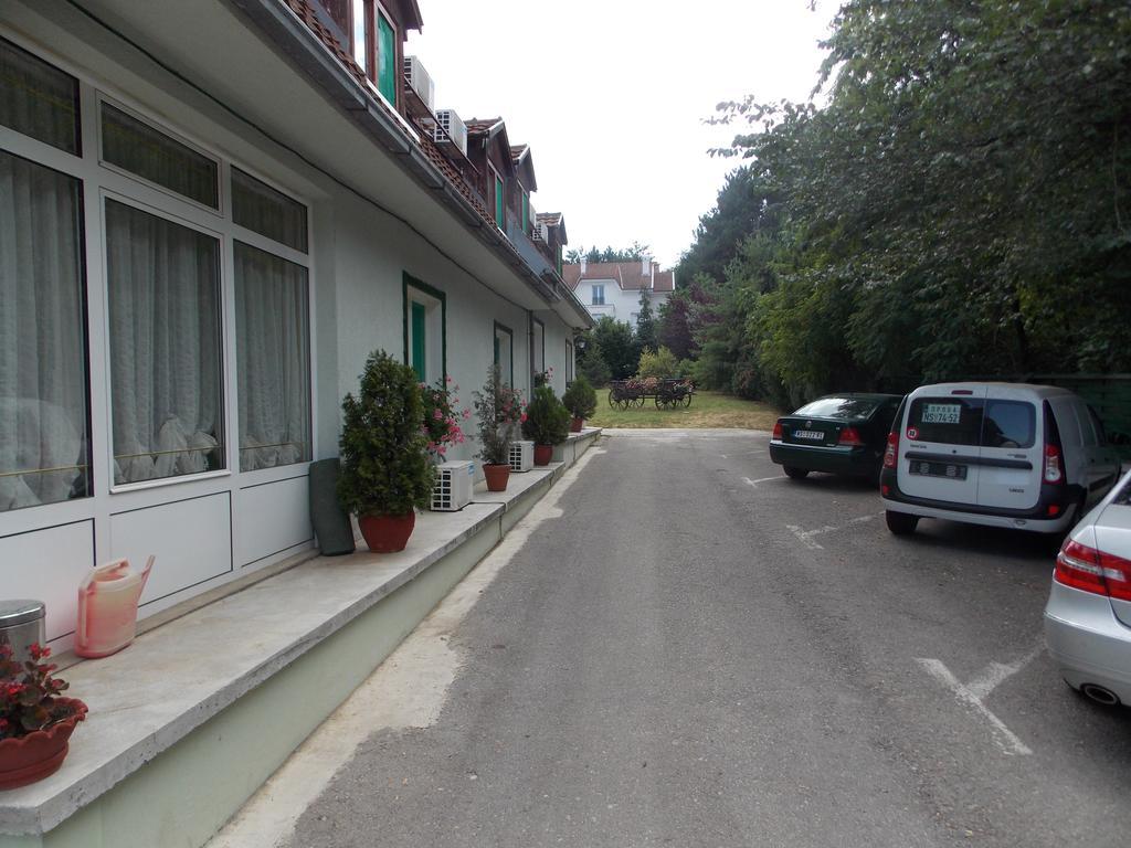 B&B Villa Evandjelina Sremska Kamenica Extérieur photo