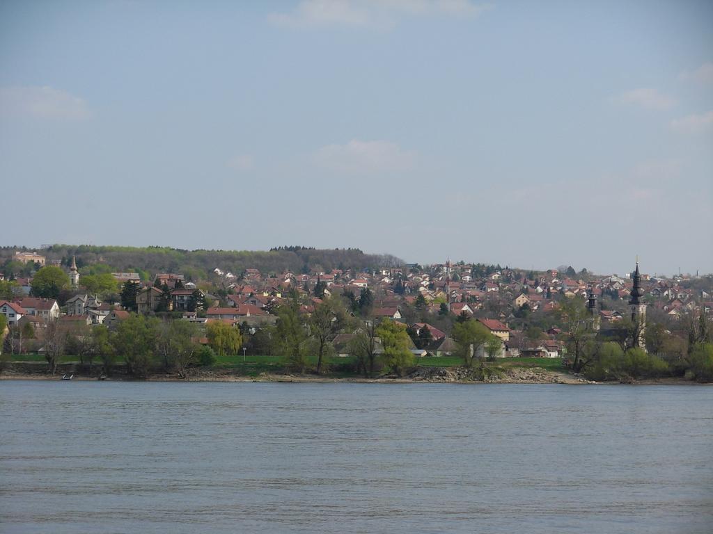 B&B Villa Evandjelina Sremska Kamenica Extérieur photo