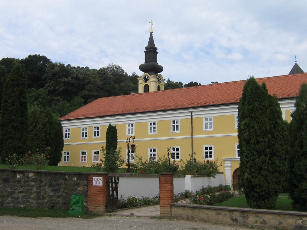 B&B Villa Evandjelina Sremska Kamenica Extérieur photo