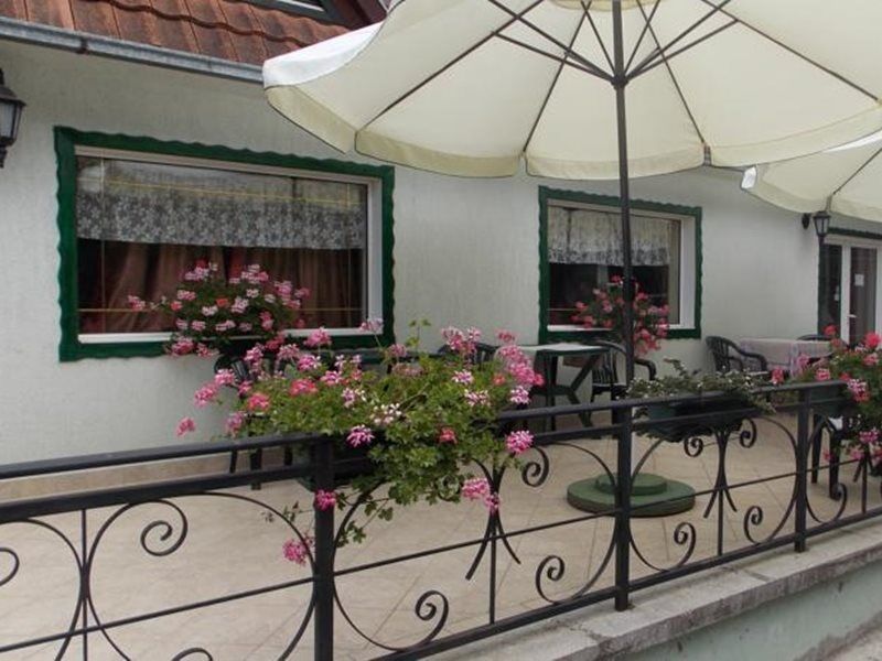 B&B Villa Evandjelina Sremska Kamenica Extérieur photo