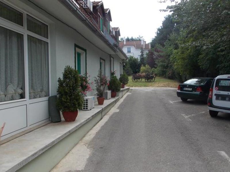 B&B Villa Evandjelina Sremska Kamenica Extérieur photo